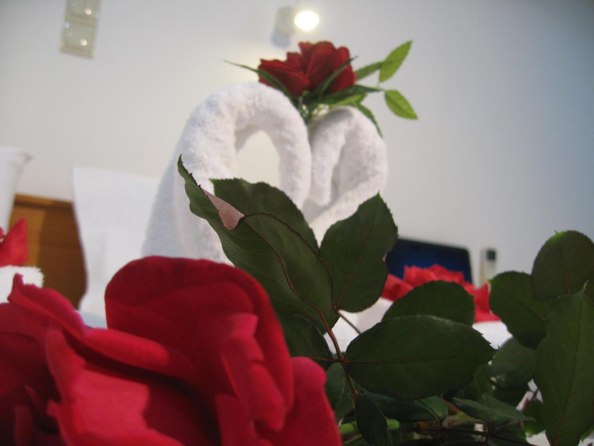Agia Marina Despina Studios חדר תמונה